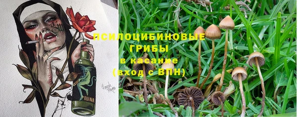 прущая мука Лабытнанги